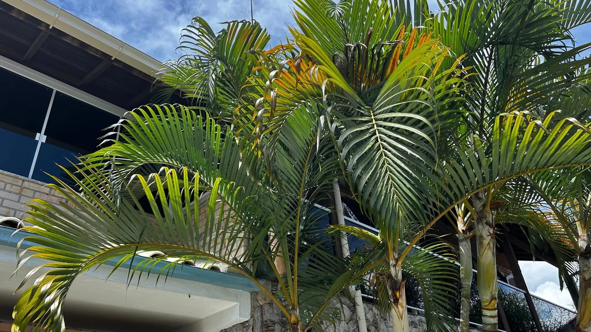 Casa Espacosa Com Sala De Jogos Interna E Externa Florianopolis 0*,